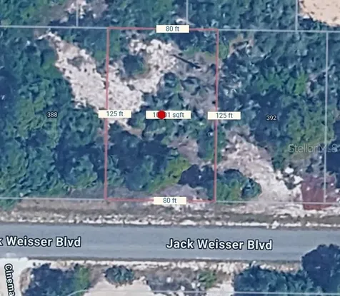 390 Jack Weisser Boulevard Lake Placid FL 33852