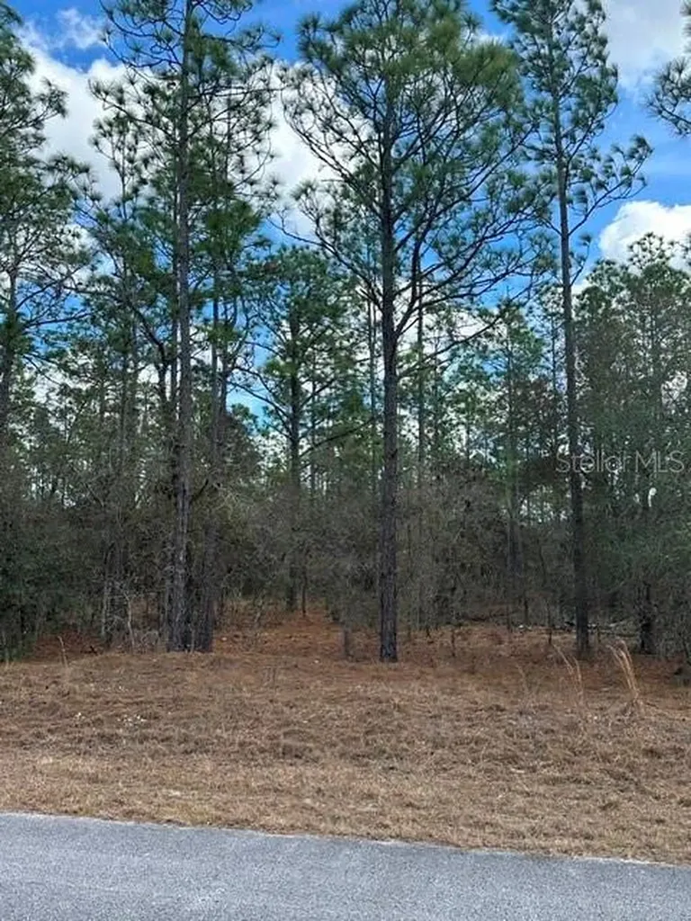 Dunnellon FL 34431