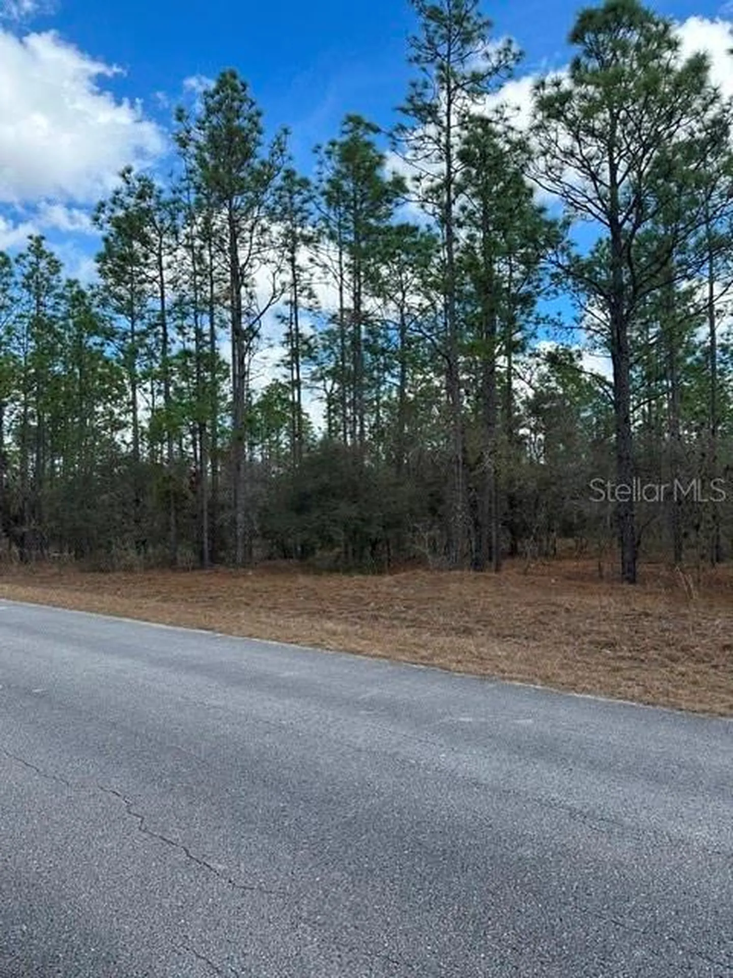 Dunnellon FL 34431