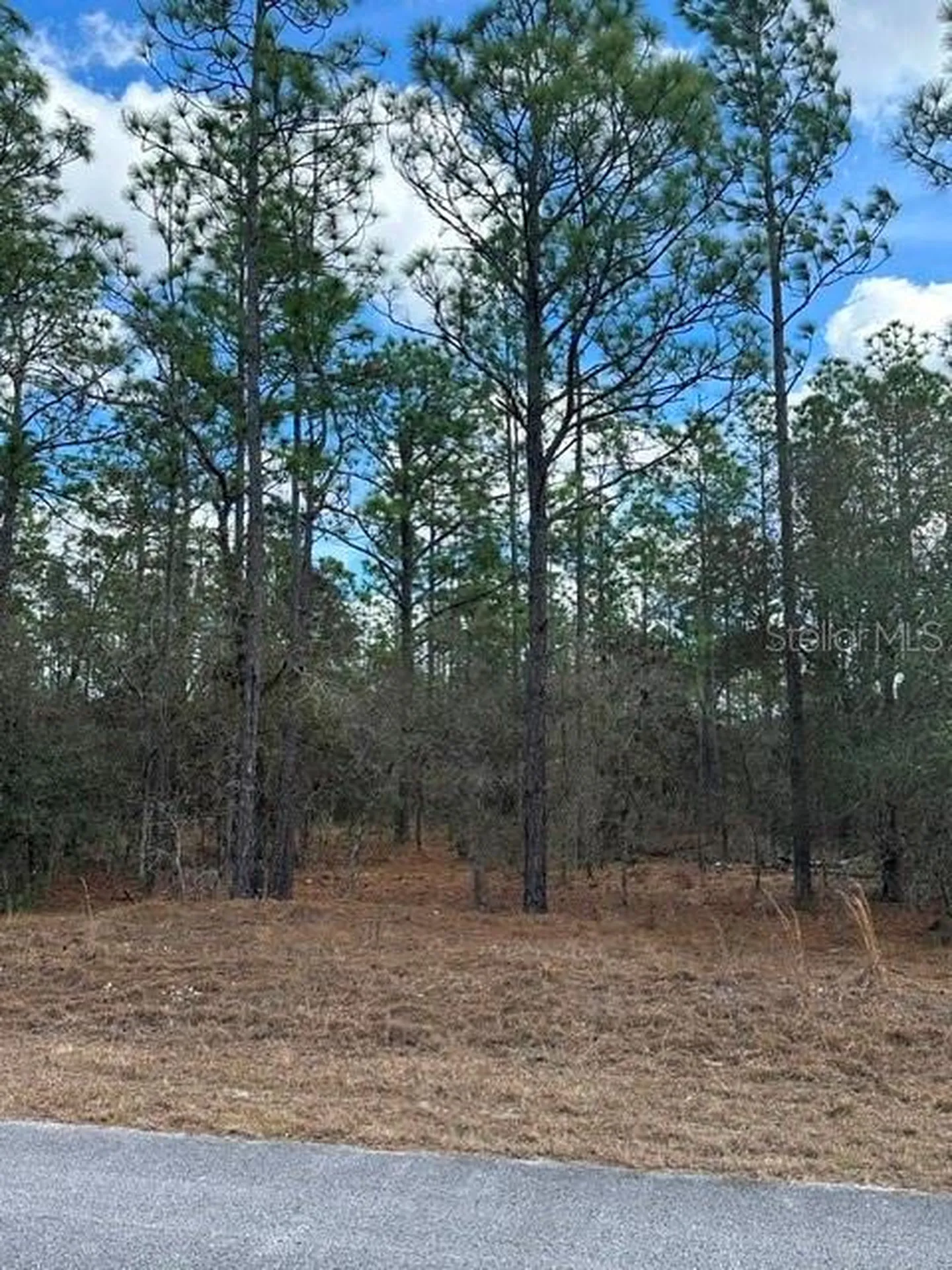 Dunnellon FL 34431
