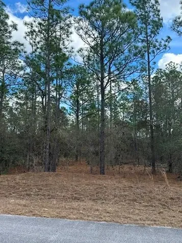 Dunnellon FL 34431