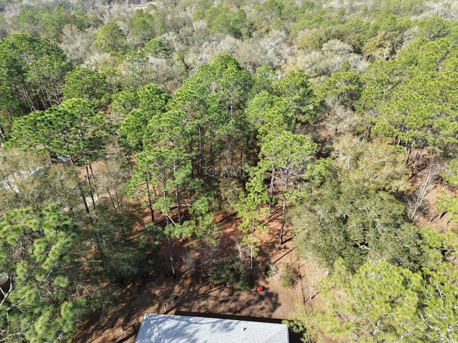 9570 SW 215th Court Road Dunnellon FL 34431