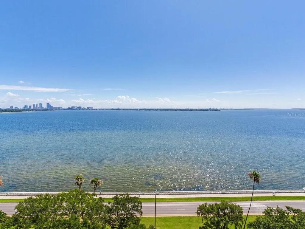 3507 Bayshore Boulevard Tampa FL 33629