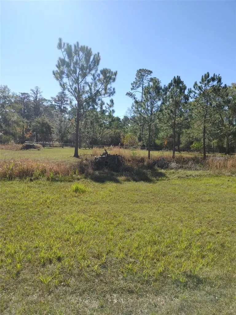 1838 NE 145th Avenue Road Silver Springs FL 34488