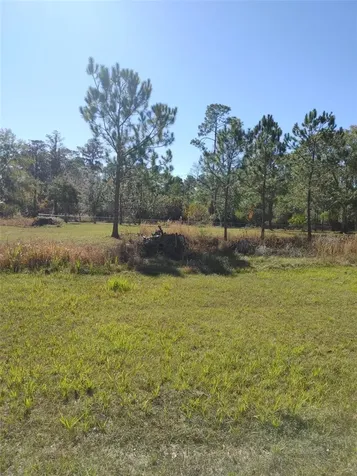 1838 NE 145th Avenue Road Silver Springs FL 34488