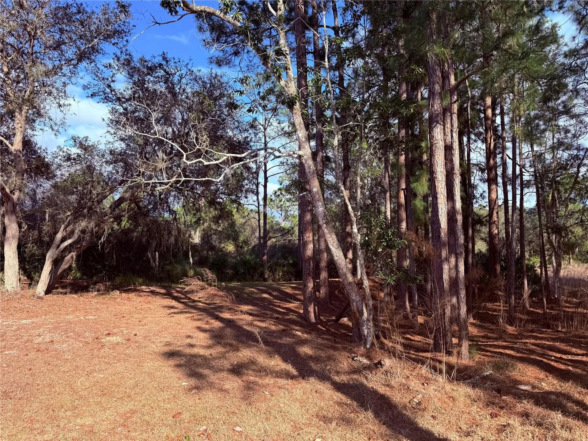 900 Racoon Trail Frostproof FL 33843