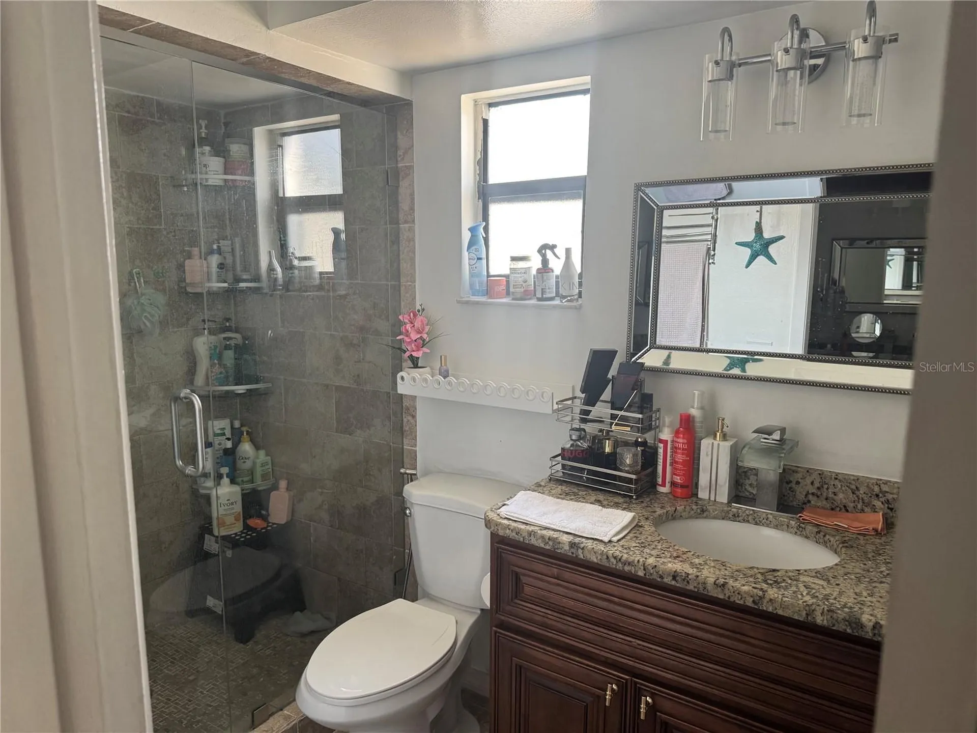 5539 Pentail Circle Tampa FL 33625