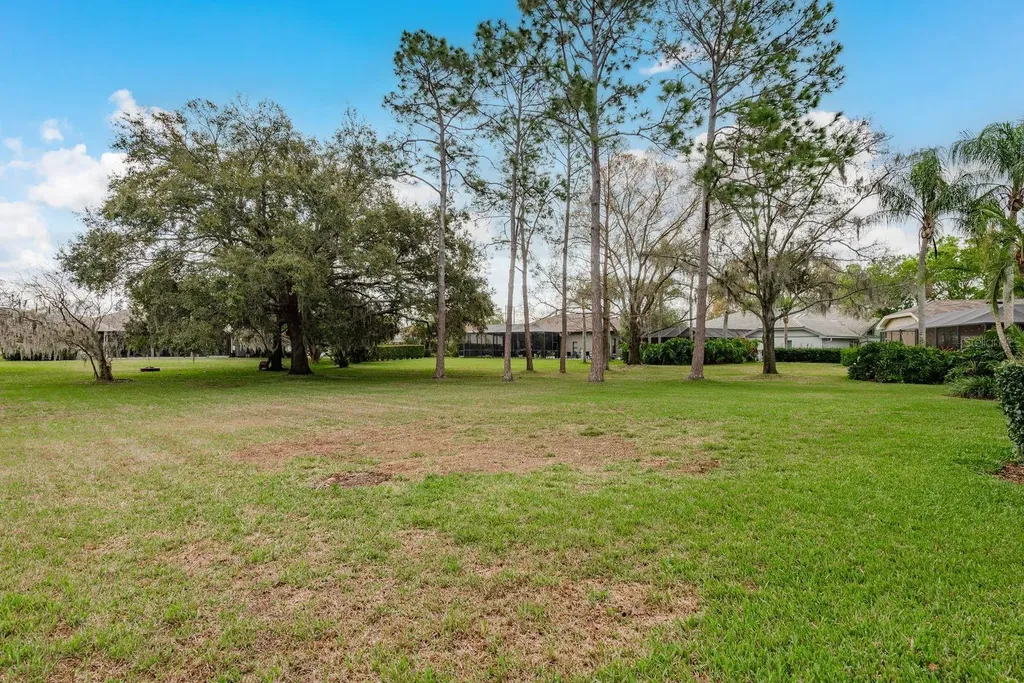 6617 Thoroughbred Loop Odessa FL 33556