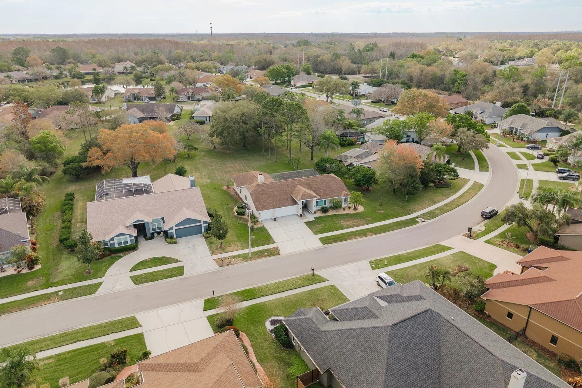 6617 Thoroughbred Loop Odessa FL 33556
