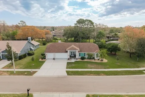 6617 Thoroughbred Loop Odessa FL 33556