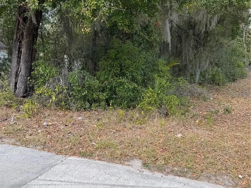 SE 65th Avenue Hawthorne FL 32640