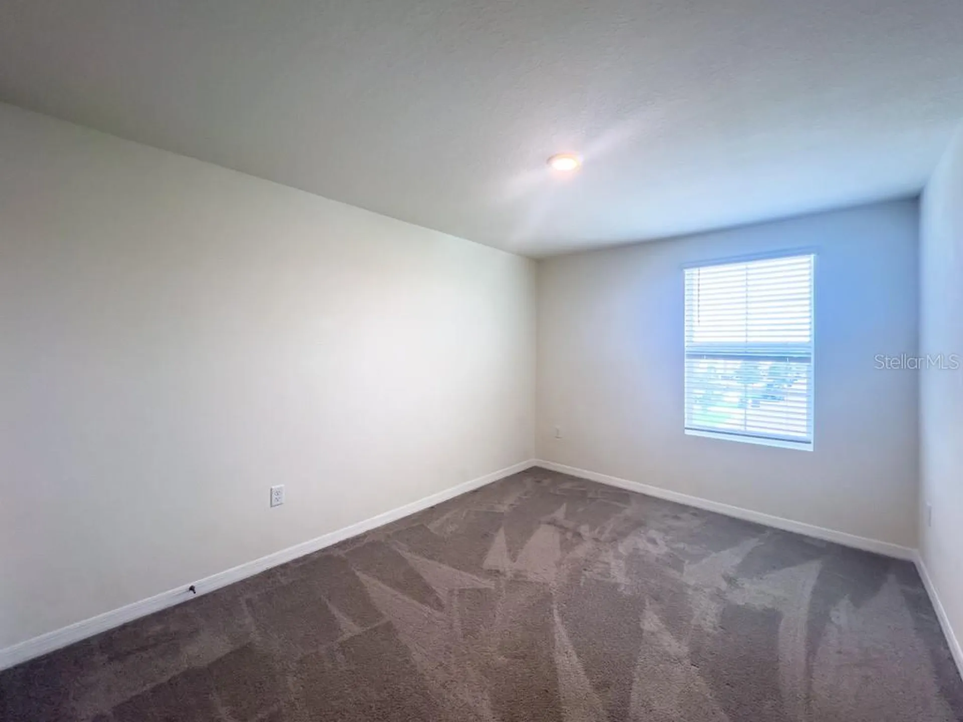 12181 Downy Birch Drive Riverview FL 33569
