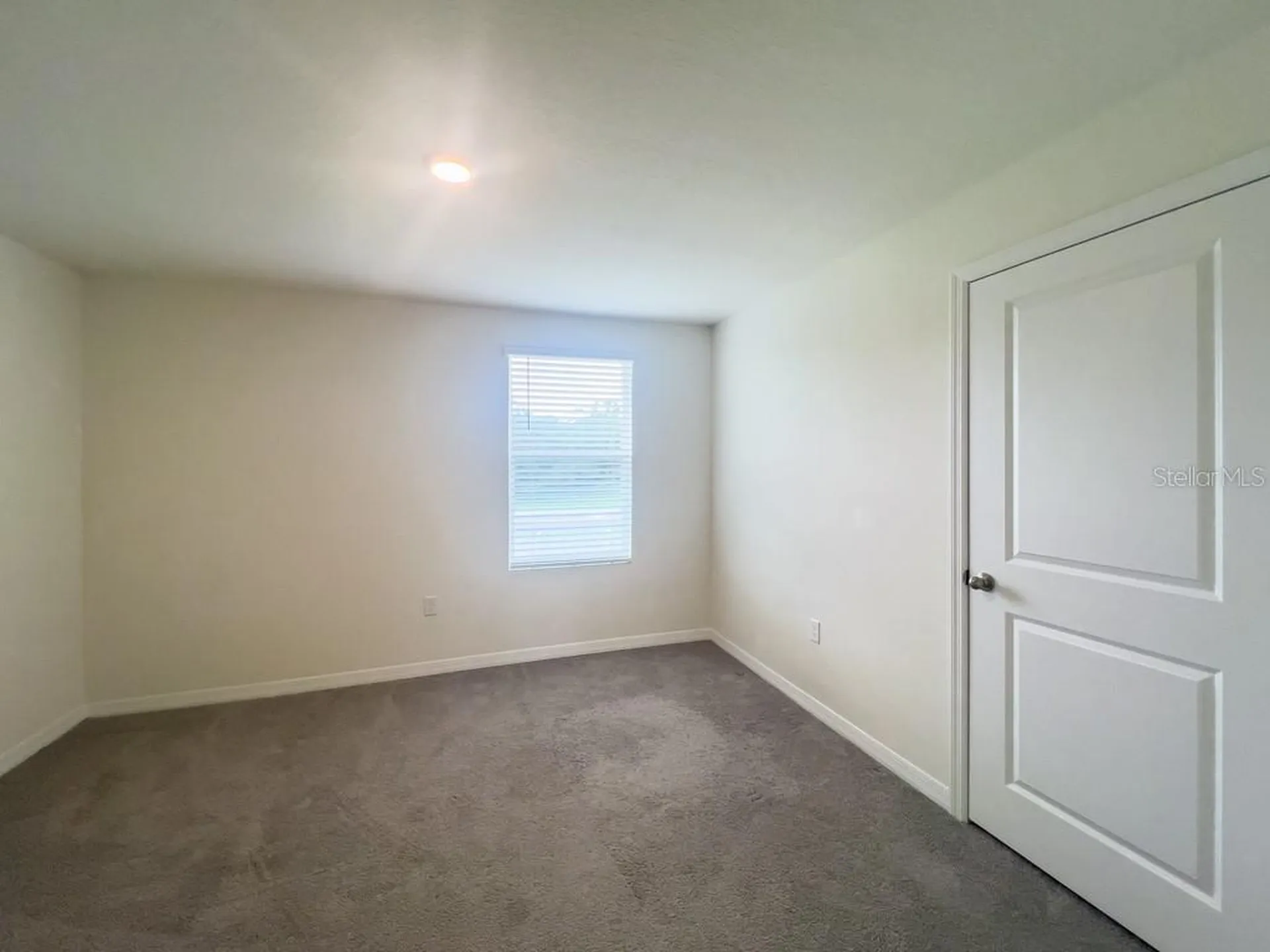 12181 Downy Birch Drive Riverview FL 33569