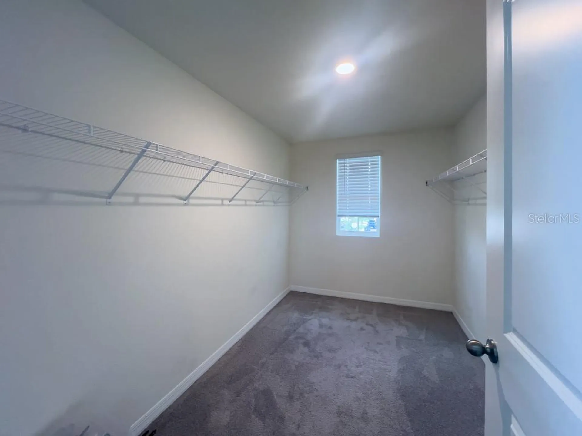 12181 Downy Birch Drive Riverview FL 33569