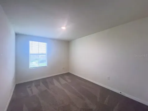 12181 Downy Birch Drive Riverview FL 33569