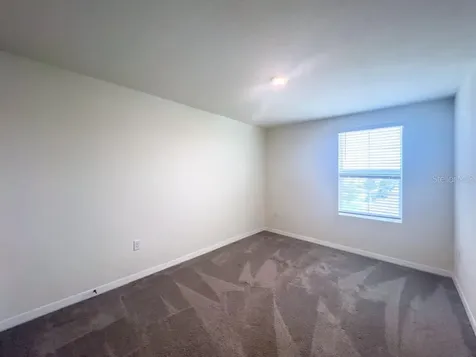 12181 Downy Birch Drive Riverview FL 33569