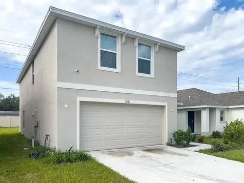12181 Downy Birch Drive Riverview FL 33569