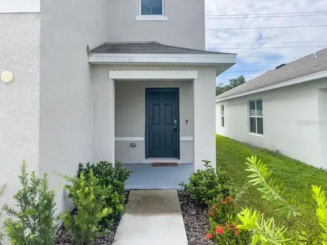 12181 Downy Birch Drive Riverview FL 33569
