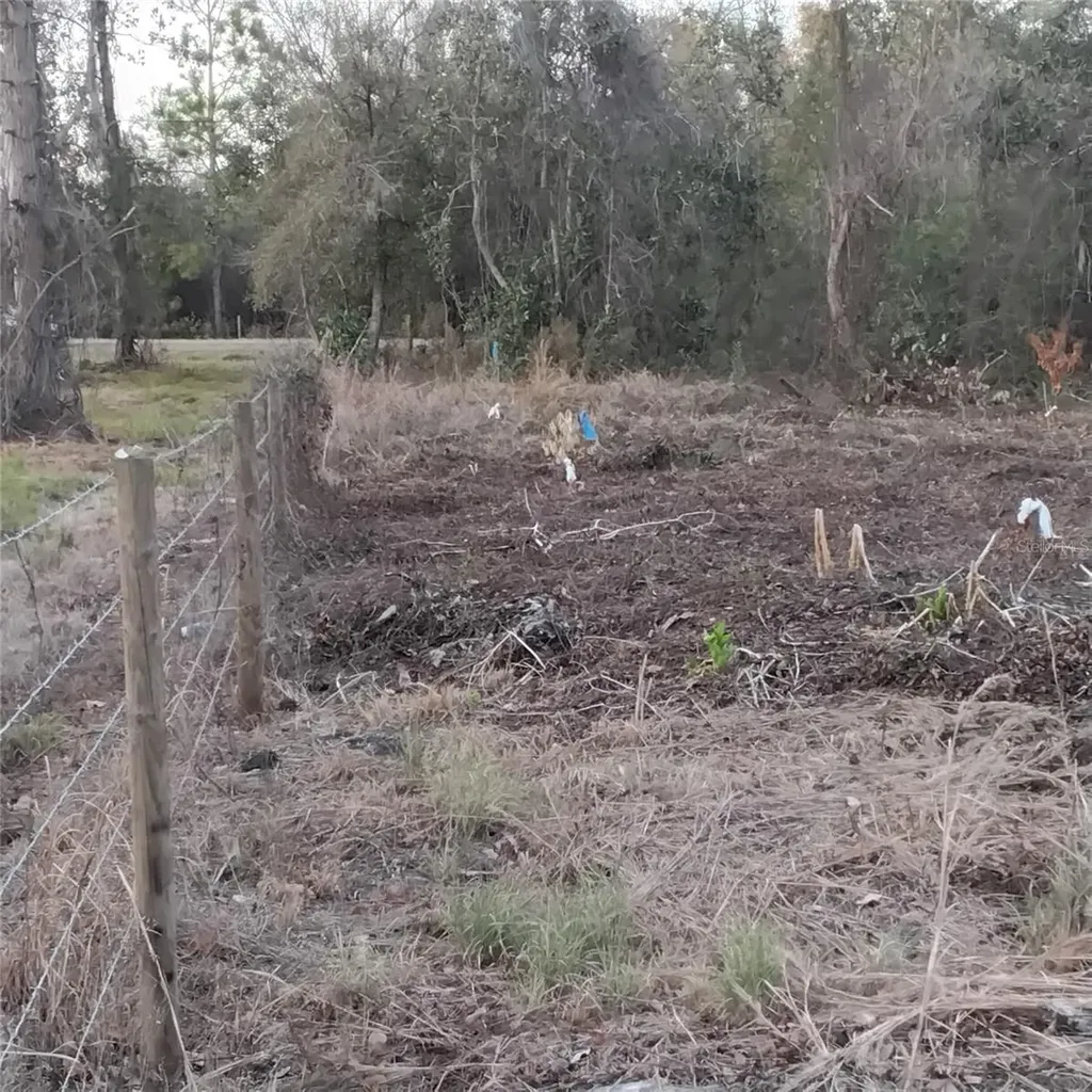 0 Alturas Babson Park Cutoff Road Bartow FL 33830