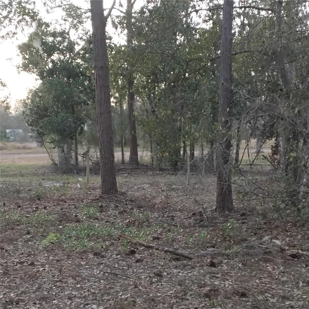 0 Alturas Babson Park Cutoff Road Bartow FL 33830