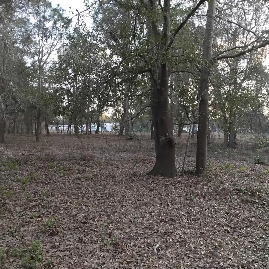 0 Alturas Babson Park Cutoff Road Bartow FL 33830