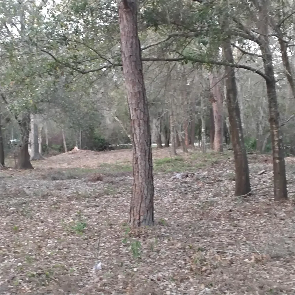 0 Alturas Babson Park Cutoff Road Bartow FL 33830