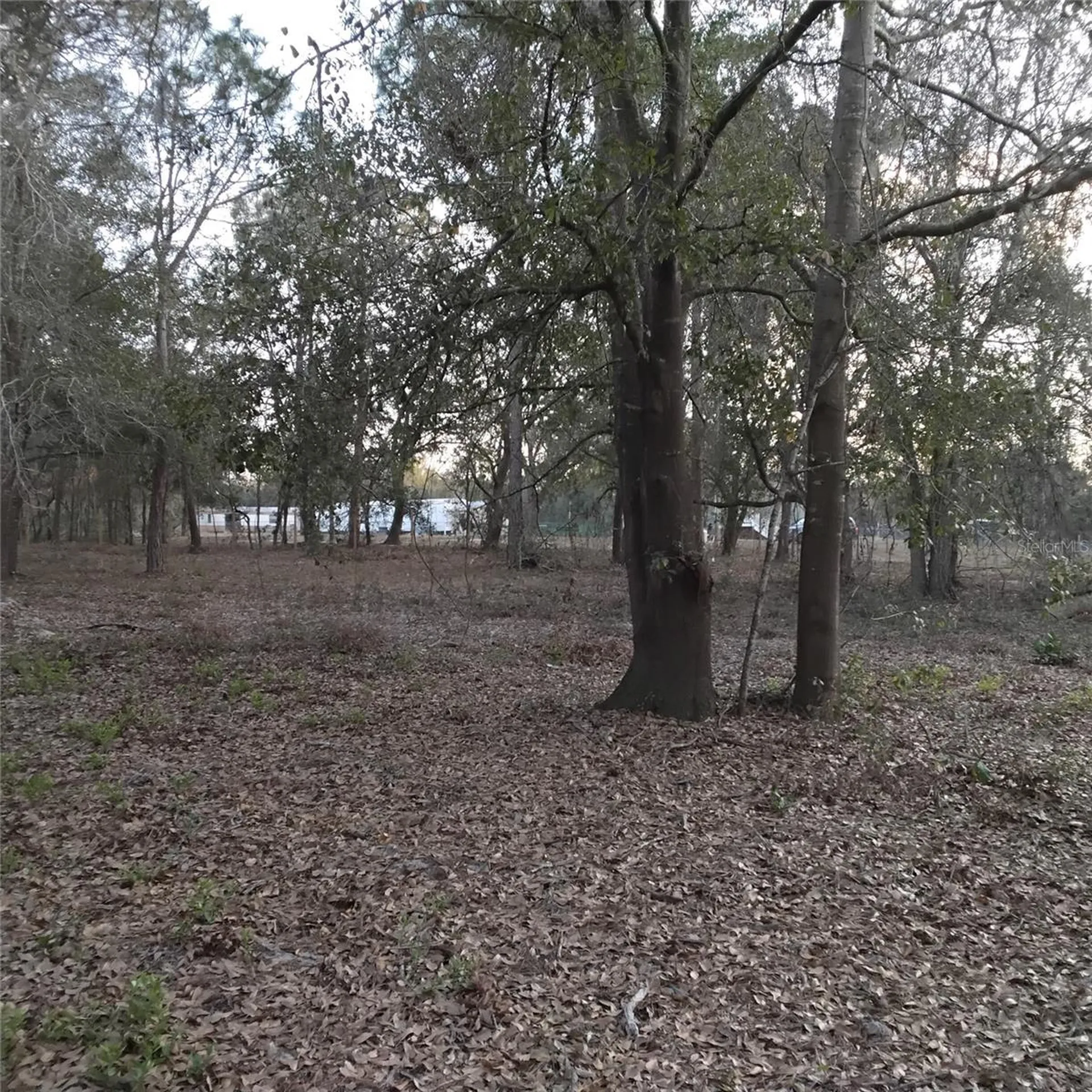 0 Alturas Babson Park Cutoff Road Bartow FL 33830