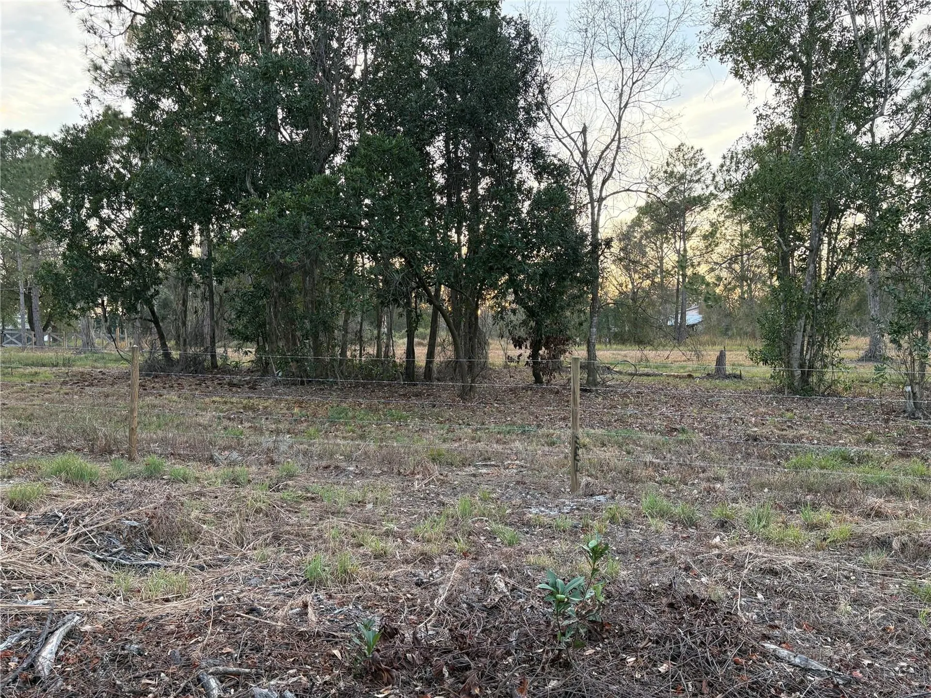 0 Alturas Babson Park Cutoff Road Bartow FL 33830