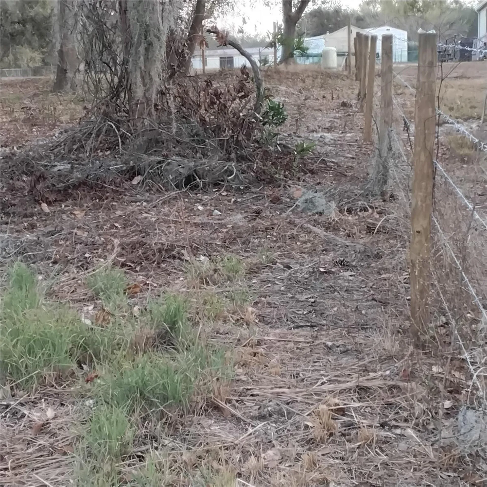 0 Alturas Babson Park Cutoff Road Bartow FL 33830