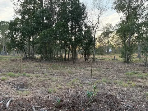 0 Alturas Babson Park Cutoff Road Bartow FL 33830