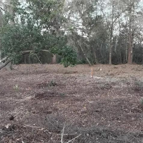 0 Alturas Babson Park Cutoff Road Bartow FL 33830