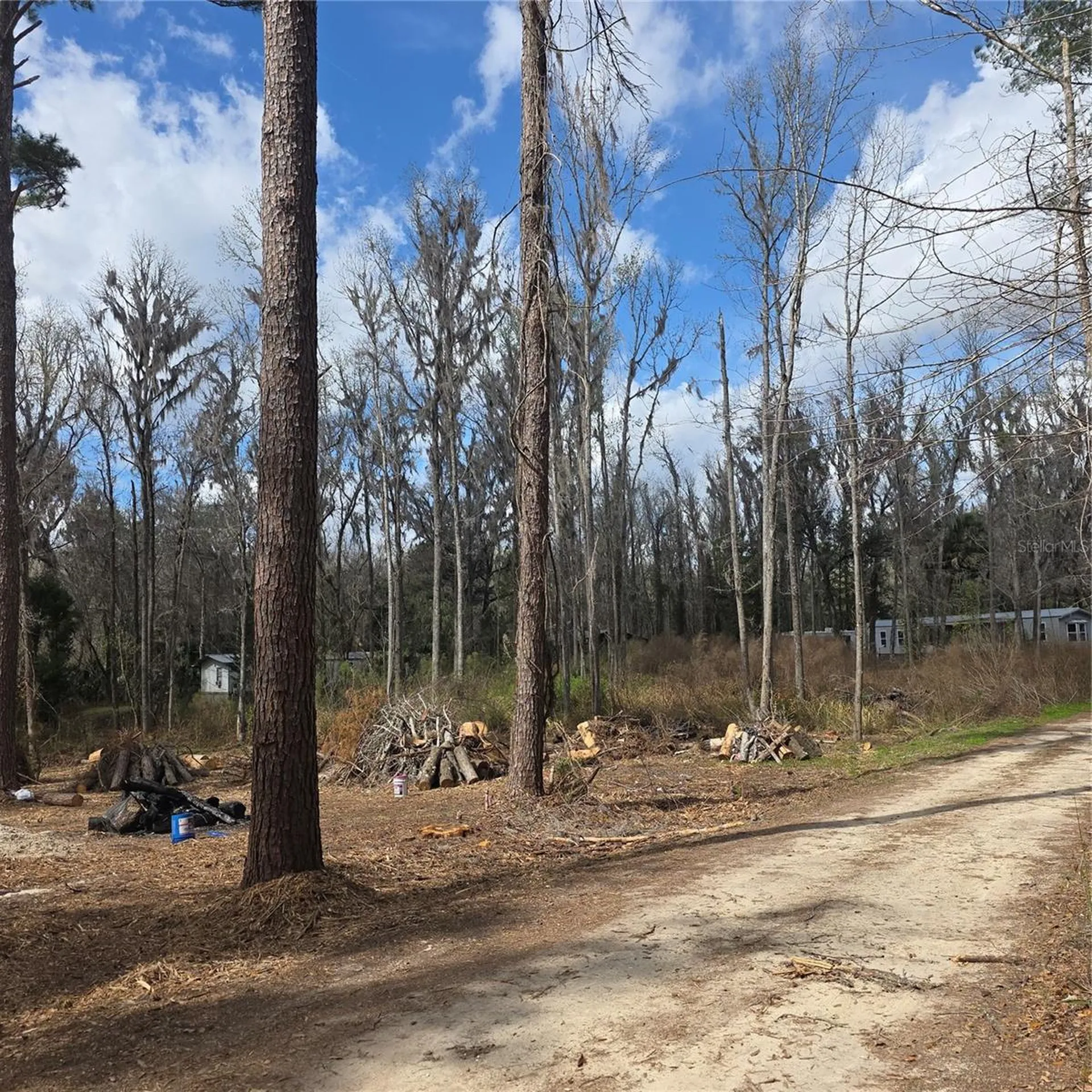 SW 11th Street Road Ocala FL 34481