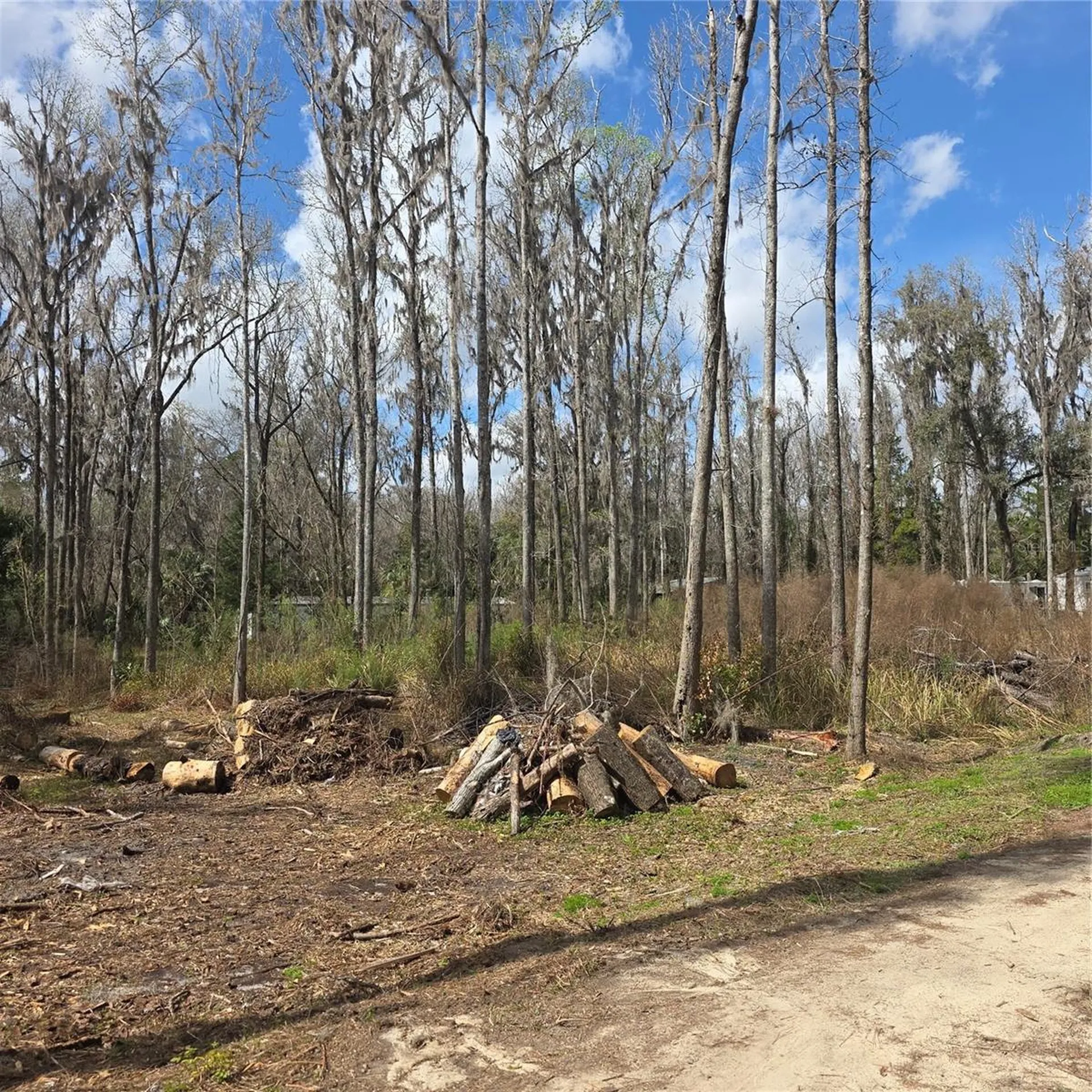 SW 11th Street Road Ocala FL 34481