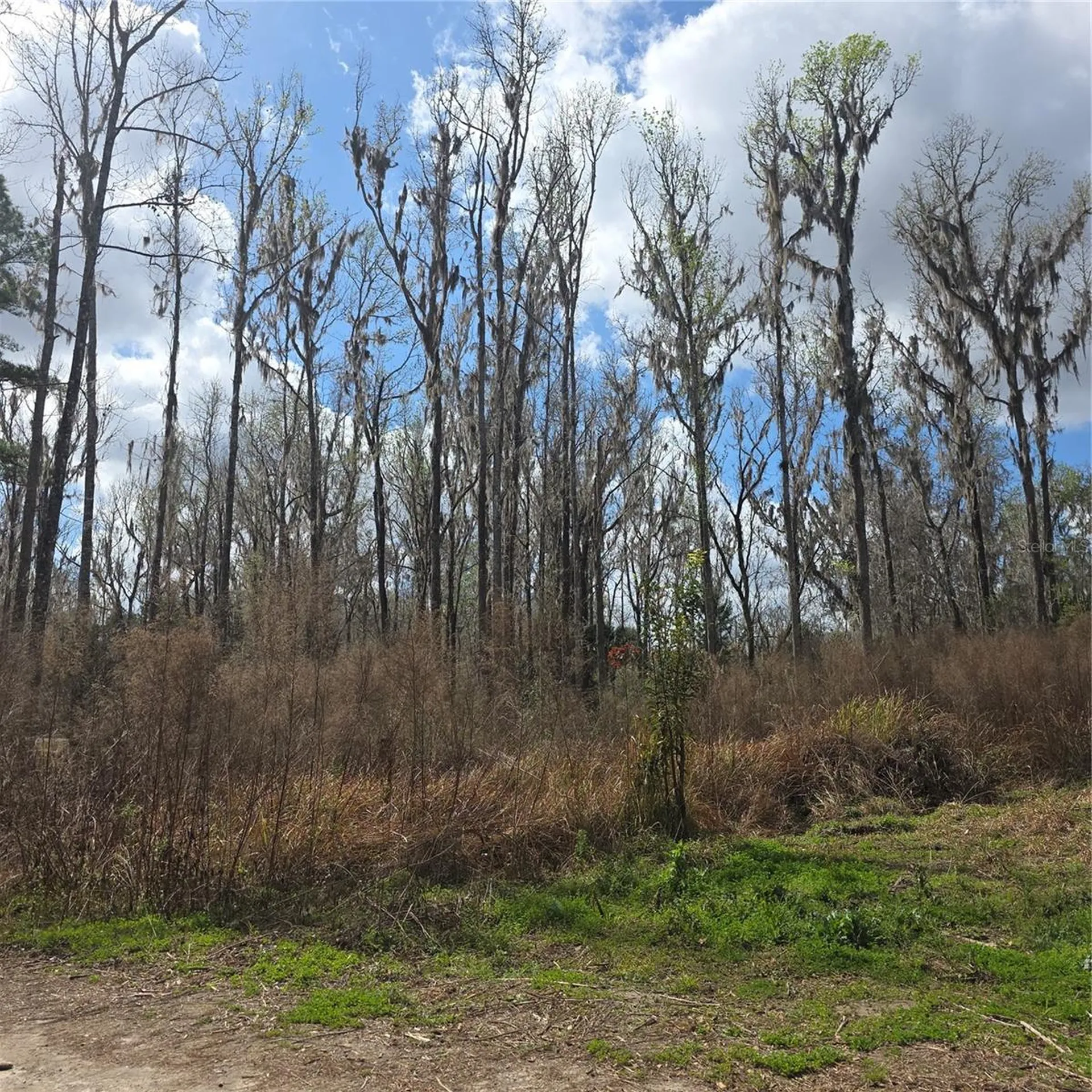SW 11th Street Road Ocala FL 34481