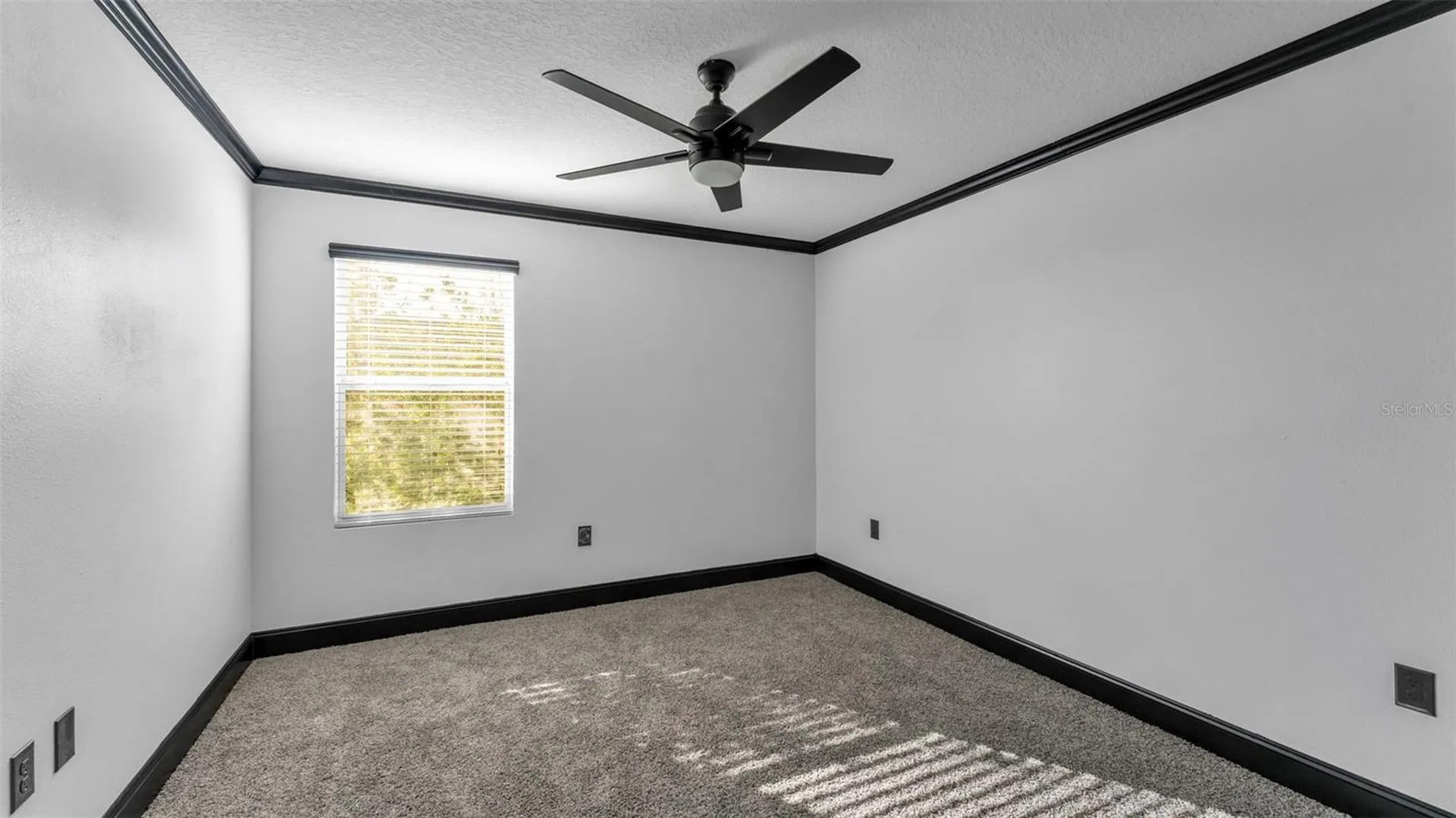 3202 Magnolia Garden Drive Plant City FL 33567