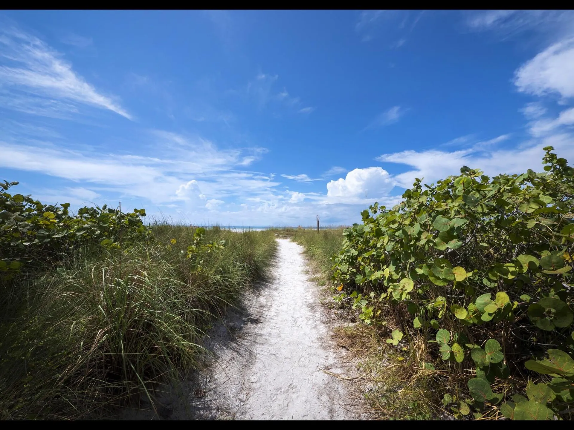 205 Golden Gate Point Sarasota FL 34236