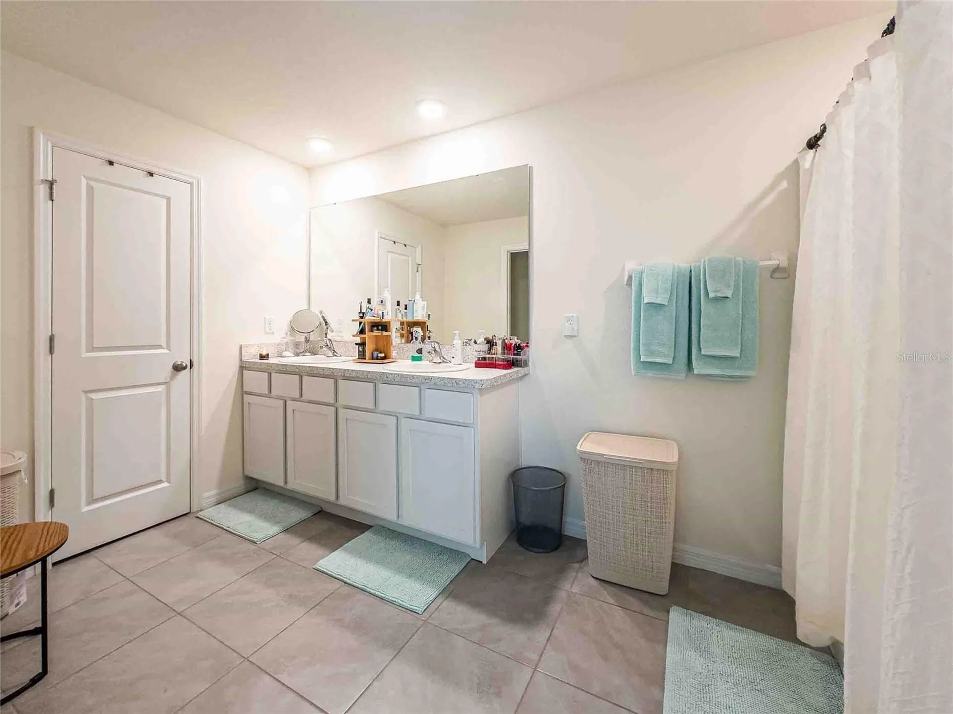 12172 Lily Magnolia Lane Riverview FL 33569