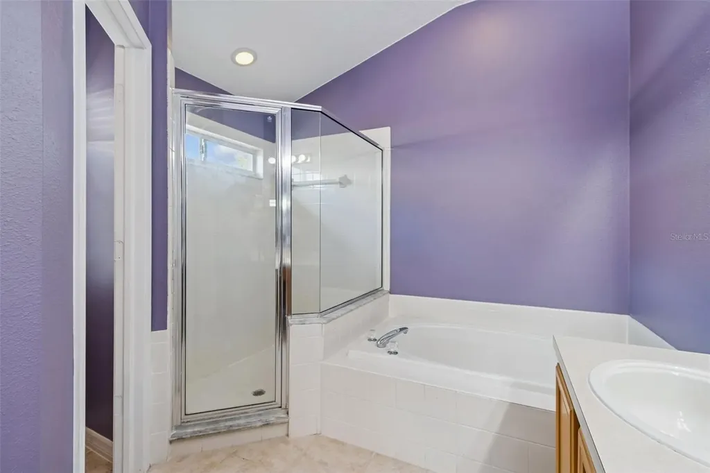 19427 Morden Blush Drive Lutz FL 33558