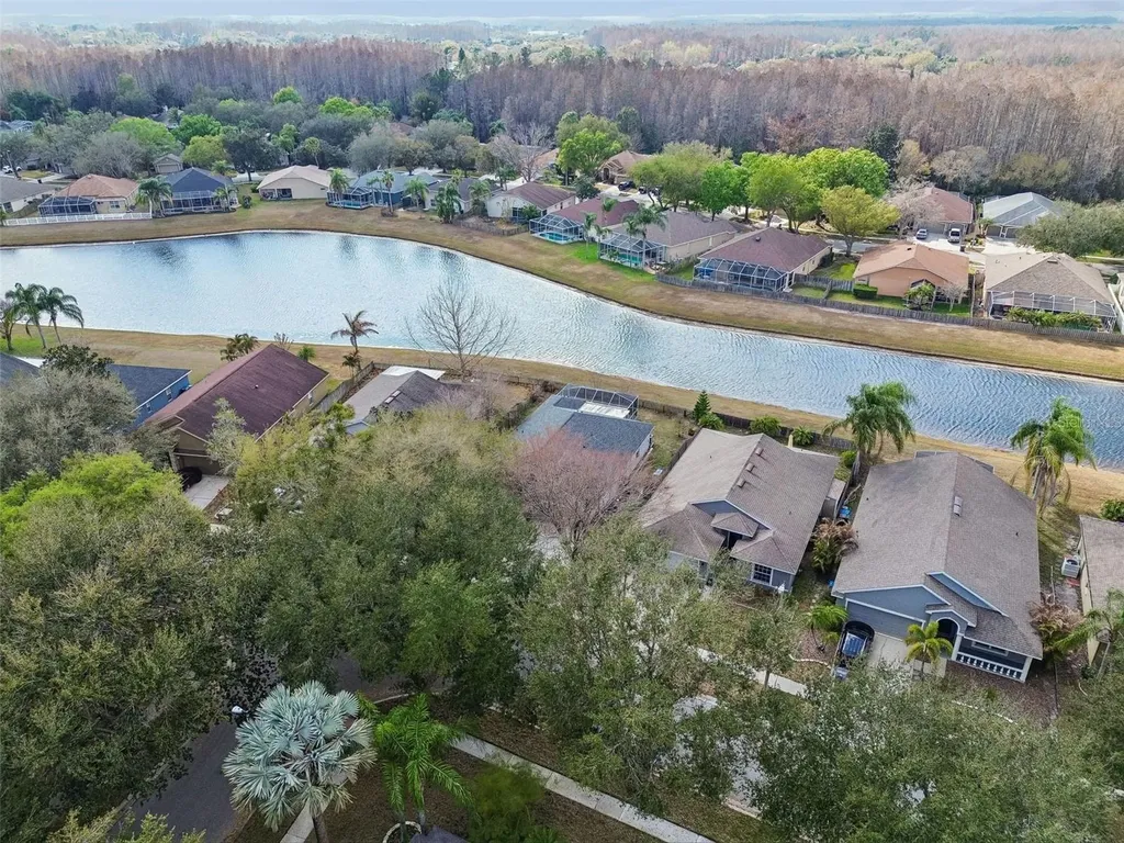 19427 Morden Blush Drive Lutz FL 33558