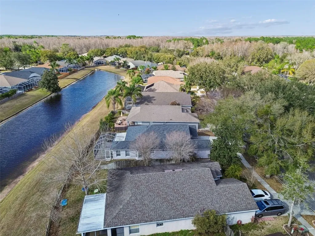 19427 Morden Blush Drive Lutz FL 33558
