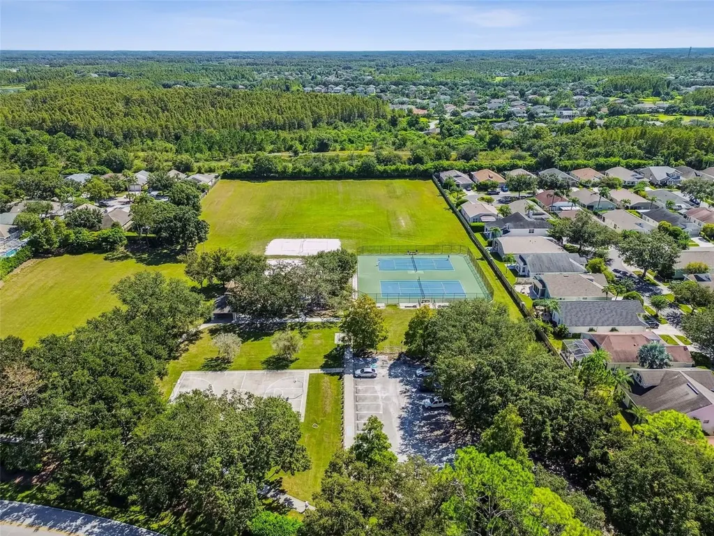 19427 Morden Blush Drive Lutz FL 33558