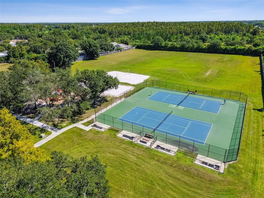 19427 Morden Blush Drive Lutz FL 33558