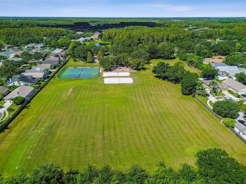 19427 Morden Blush Drive Lutz FL 33558