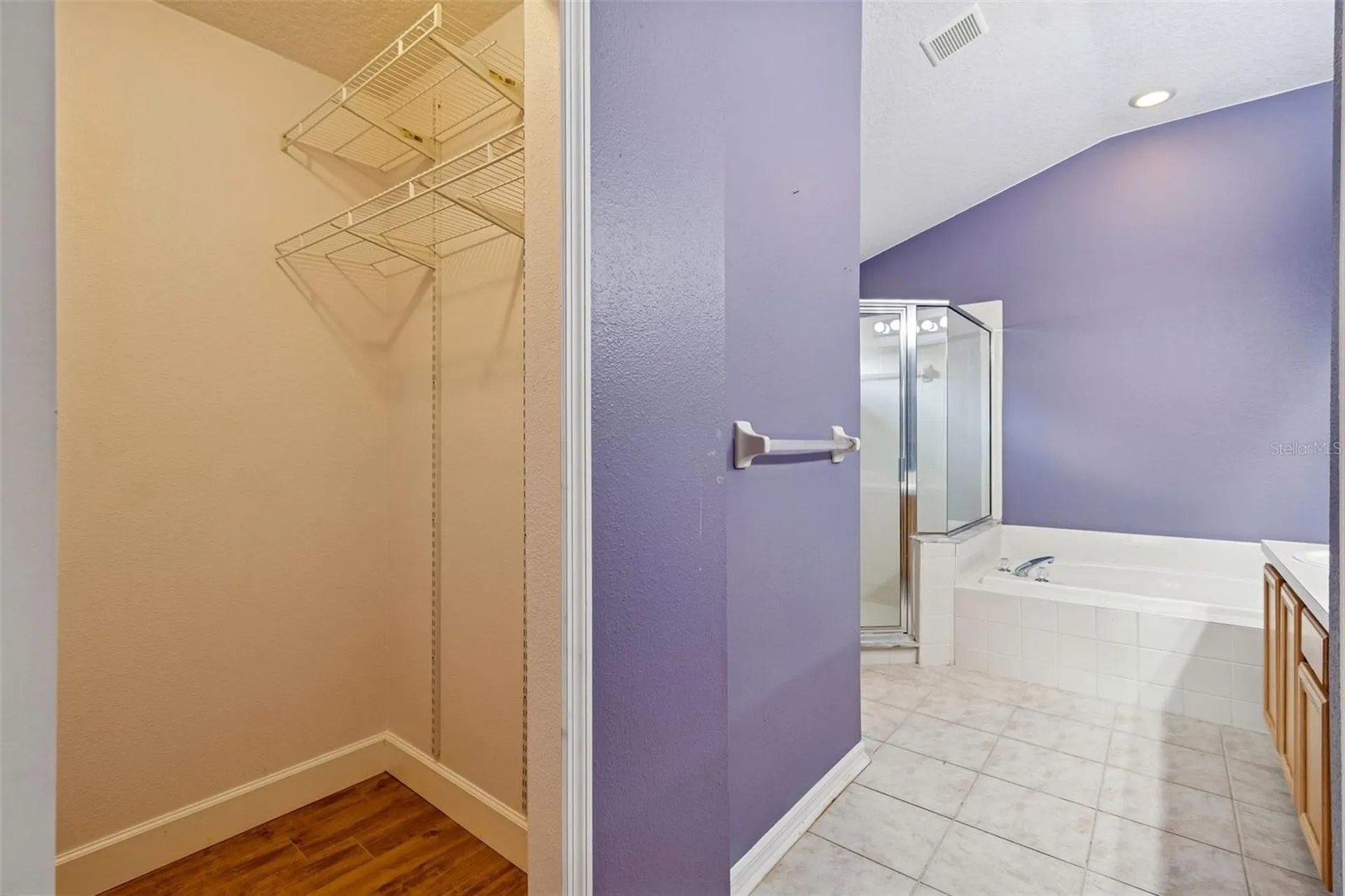 19427 Morden Blush Drive Lutz FL 33558