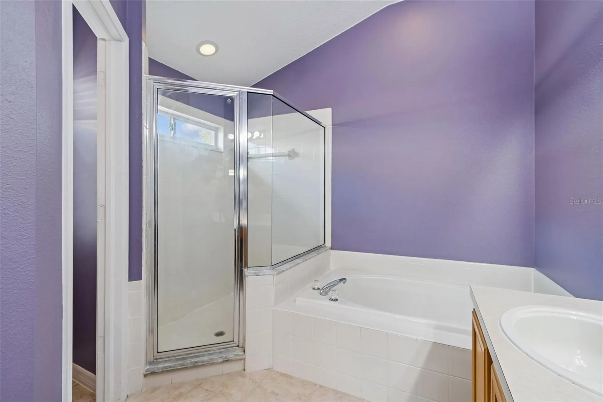 19427 Morden Blush Drive Lutz FL 33558