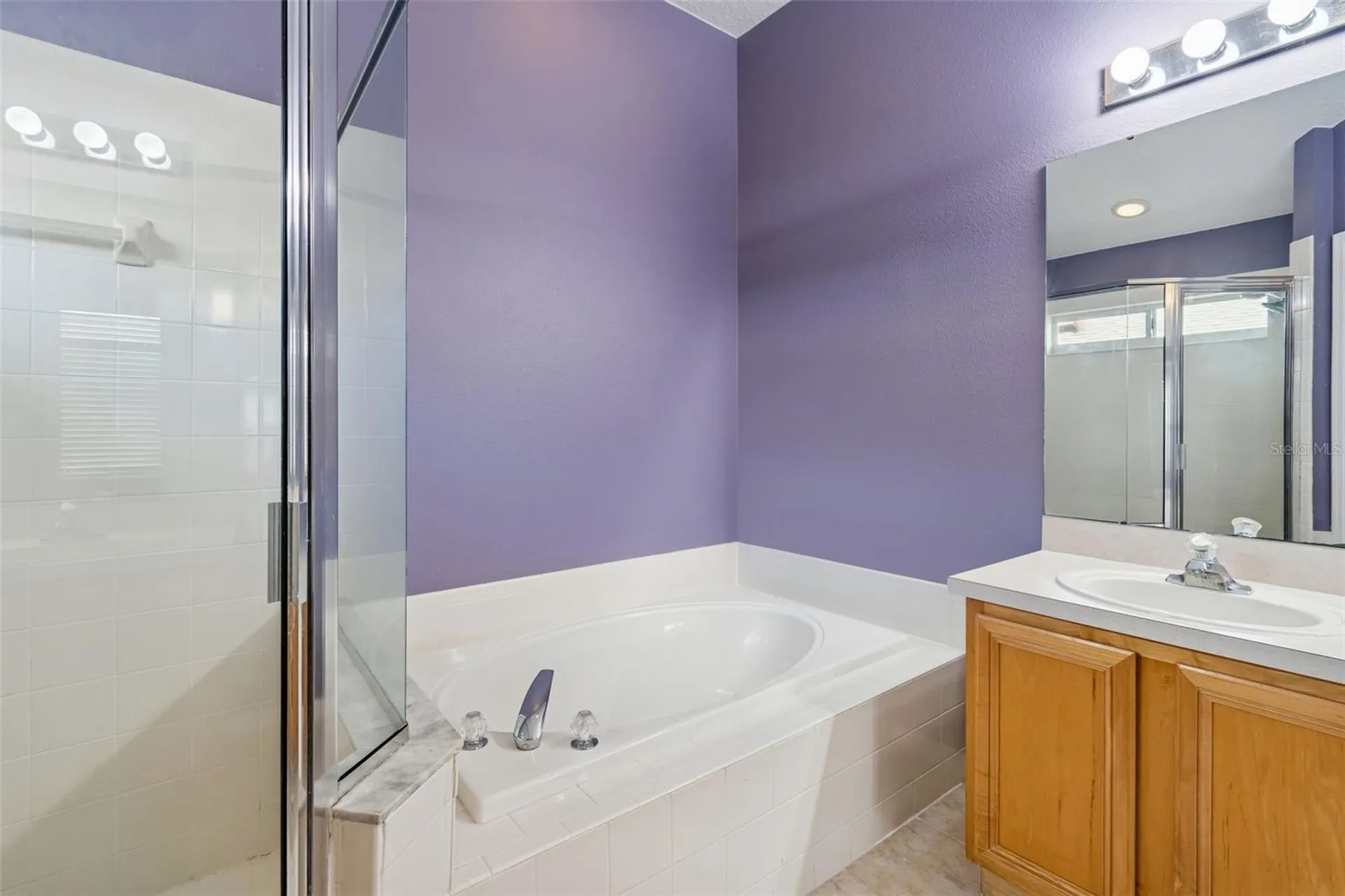 19427 Morden Blush Drive Lutz FL 33558