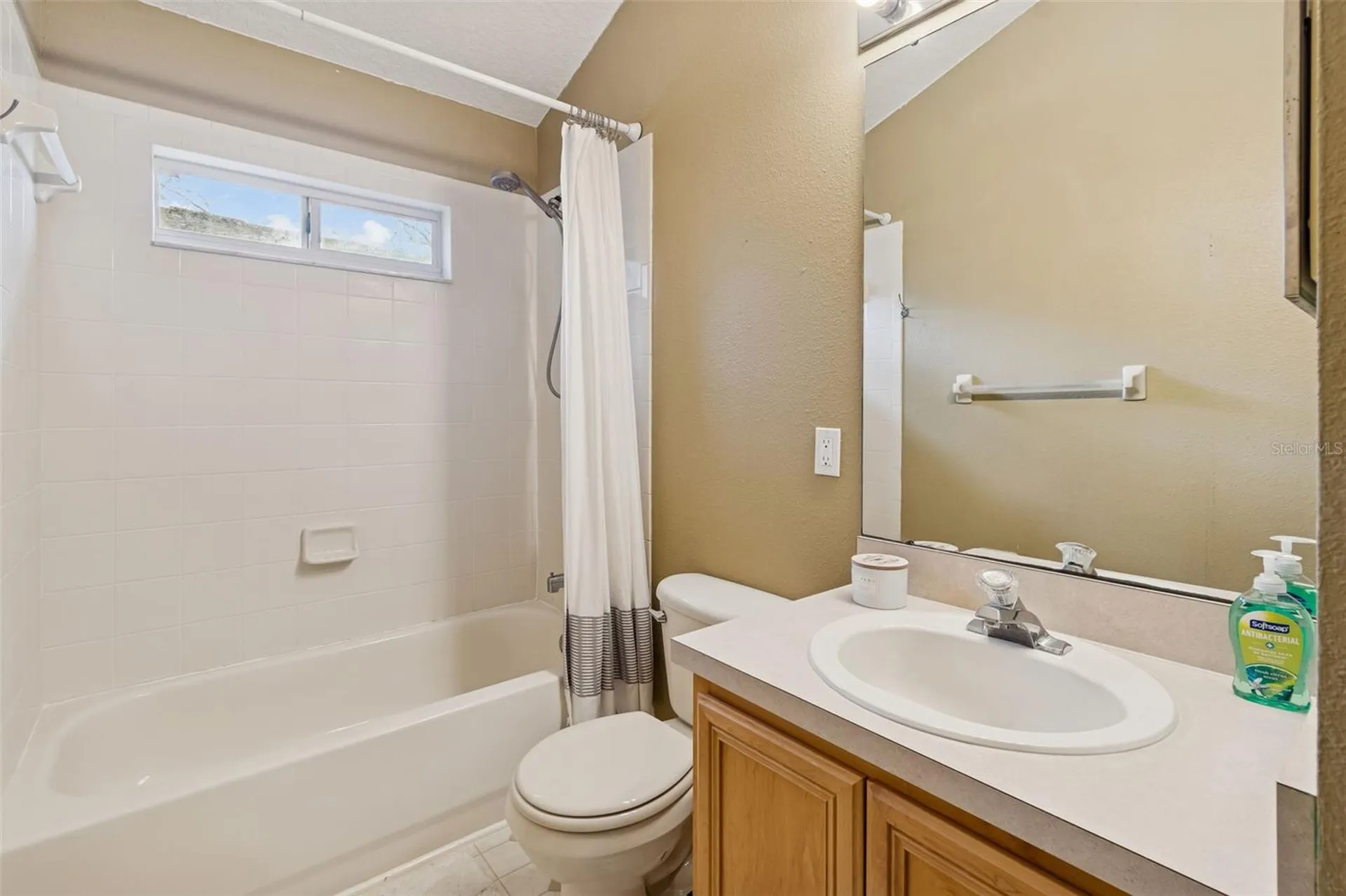 19427 Morden Blush Drive Lutz FL 33558