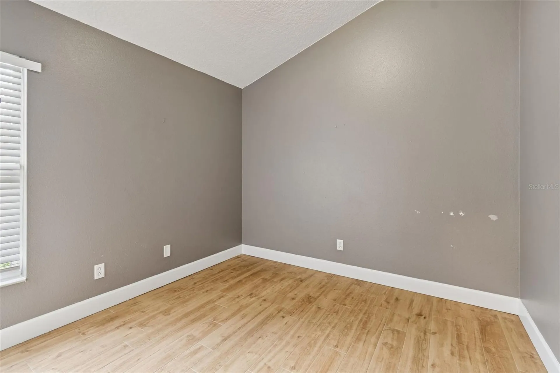 19427 Morden Blush Drive Lutz FL 33558