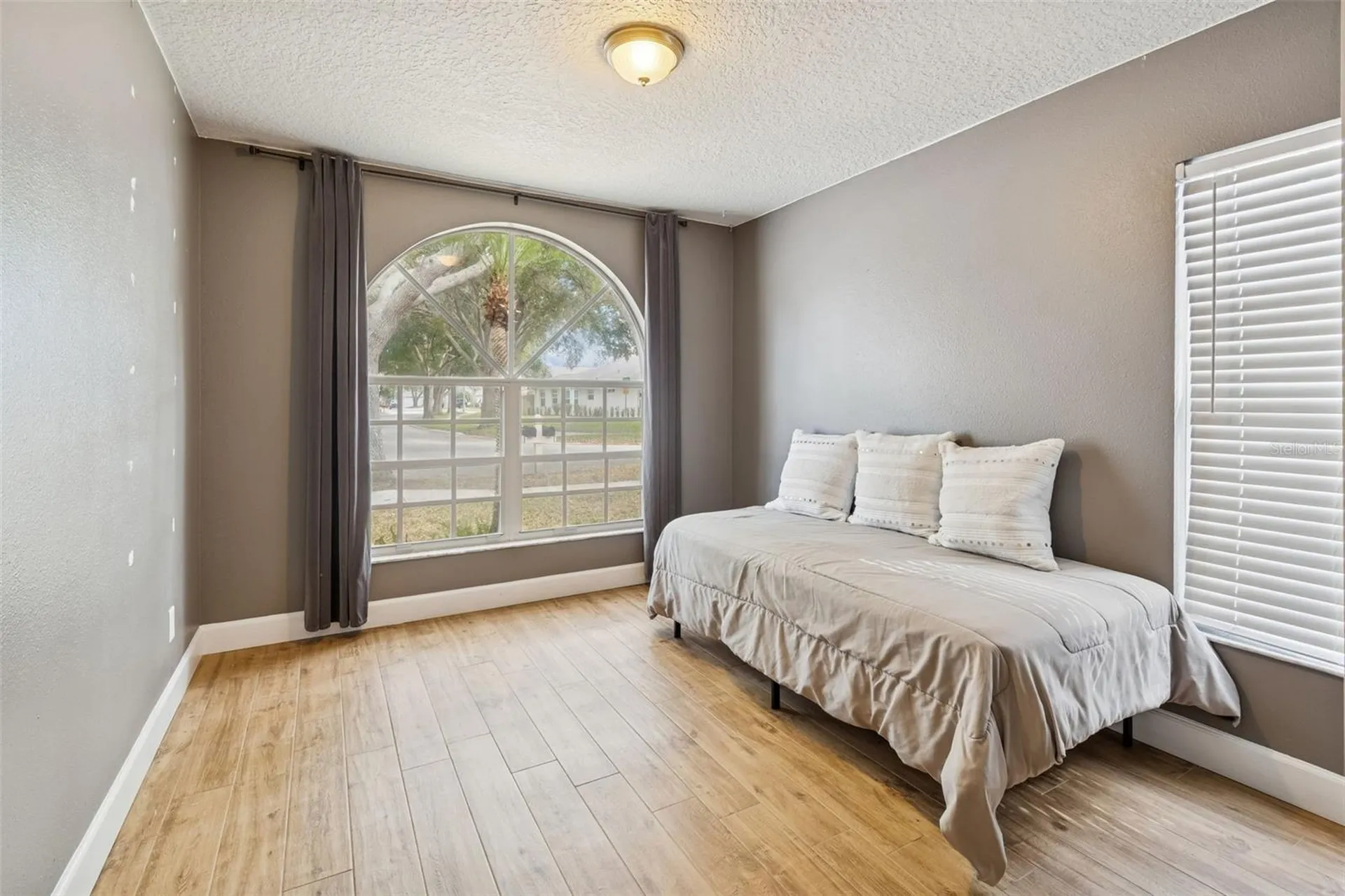 19427 Morden Blush Drive Lutz FL 33558