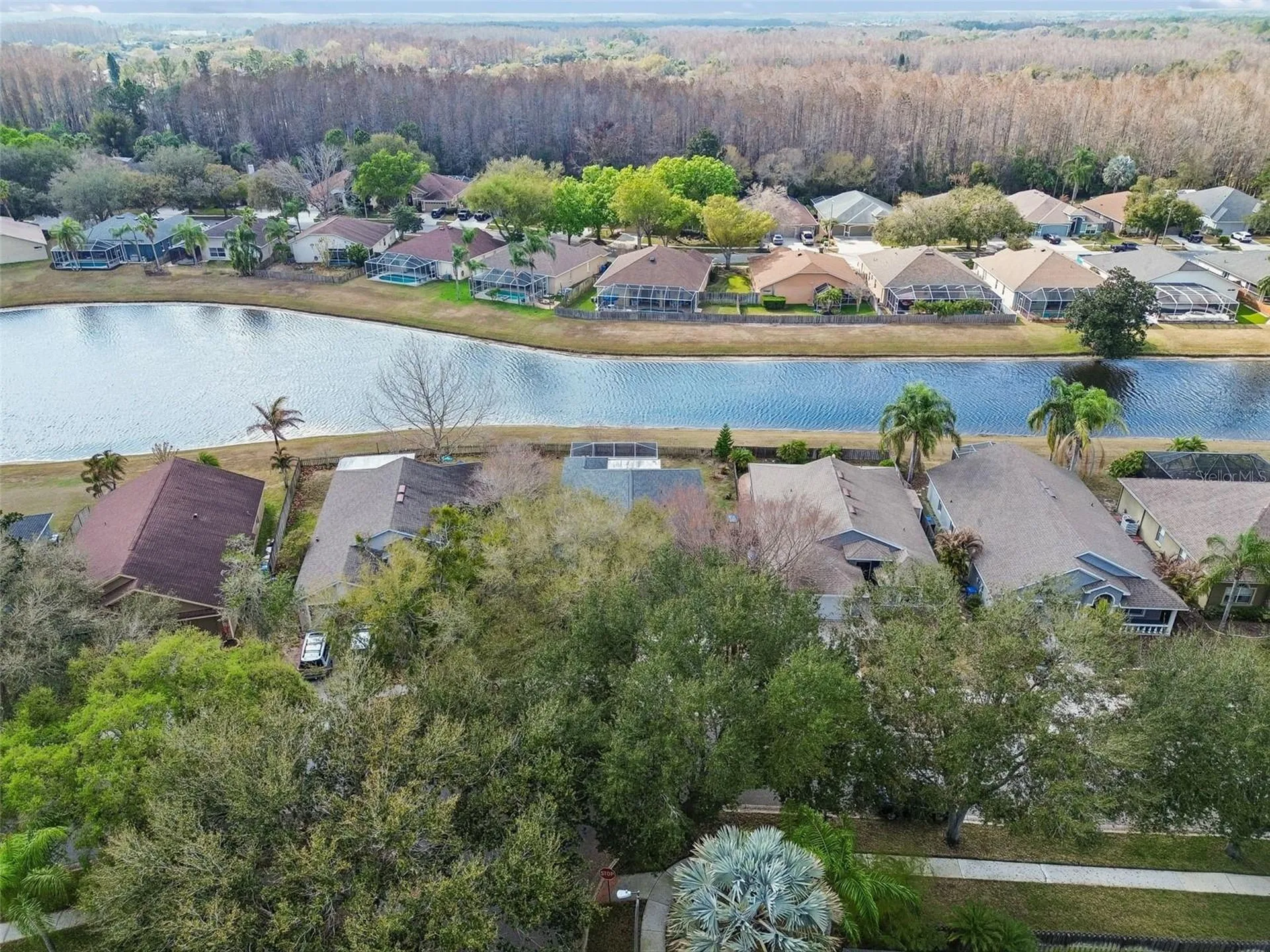 19427 Morden Blush Drive Lutz FL 33558